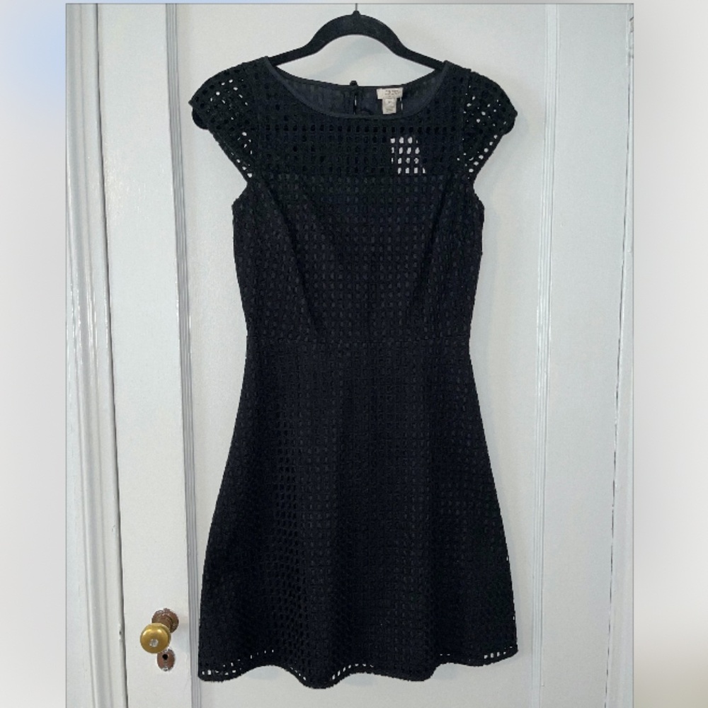 J.Crew Fit and Flare Eyelet Lace Dress Size 00